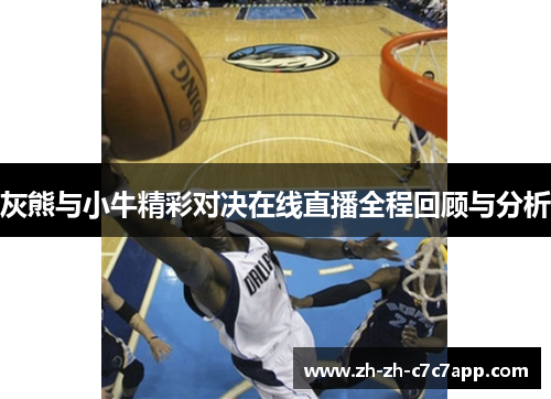 灰熊与小牛精彩对决在线直播全程回顾与分析